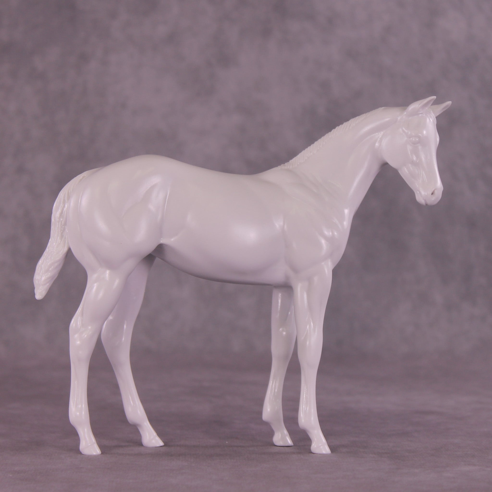 Design-A-Horse Stock Horse Weanling PM016 - August release 2026