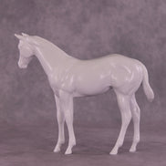 Design-A-Horse Stock Horse Weanling August Release DAH26 PM016