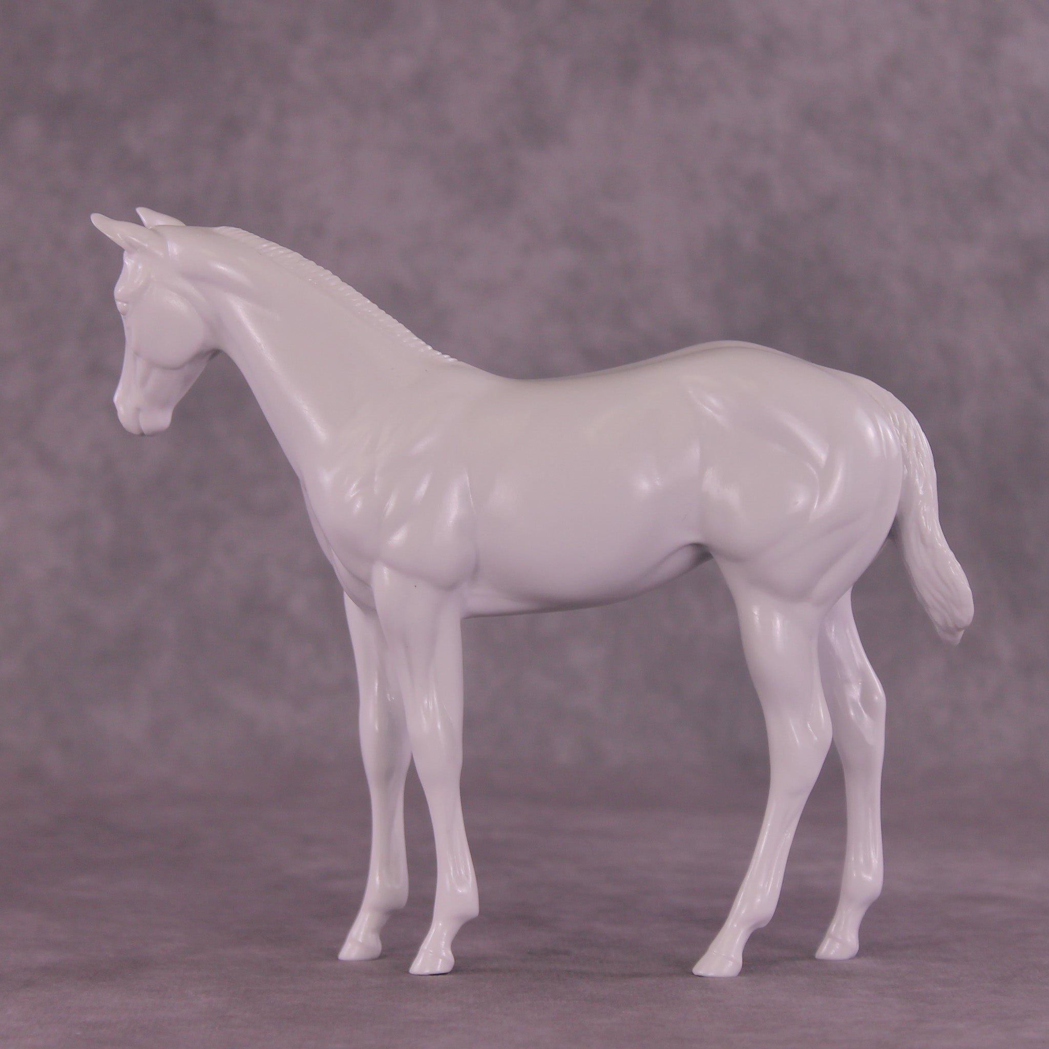 Design-A-Horse Stock Horse Weanling August Release DAH26 PM016