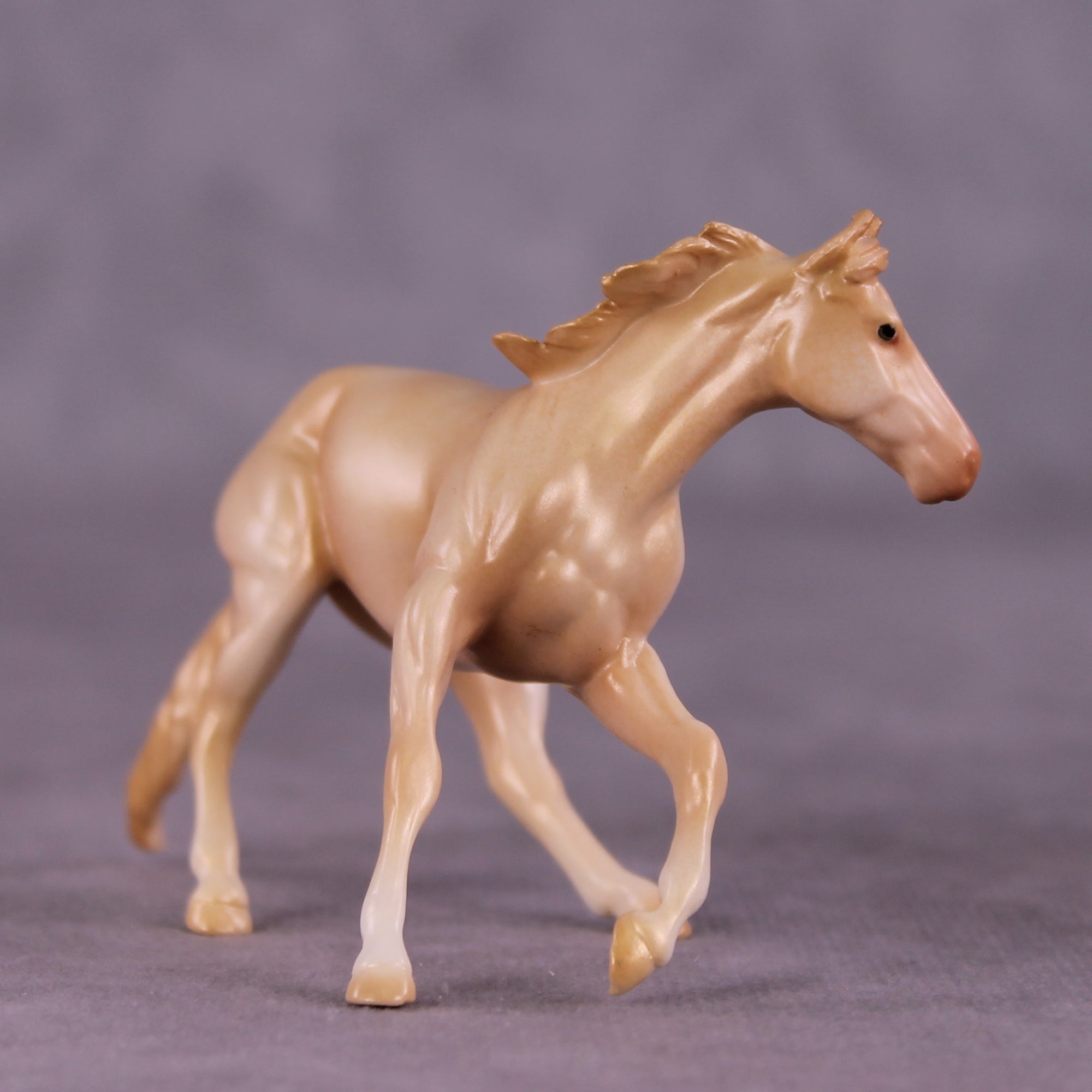 "Coolamon" OOAK Cutter Chip by Jess Hamill MS25