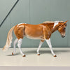 Hot to Go OOAK Chestnut Pinto Custom Mule By Julie Keim Best Offers 6/25/24