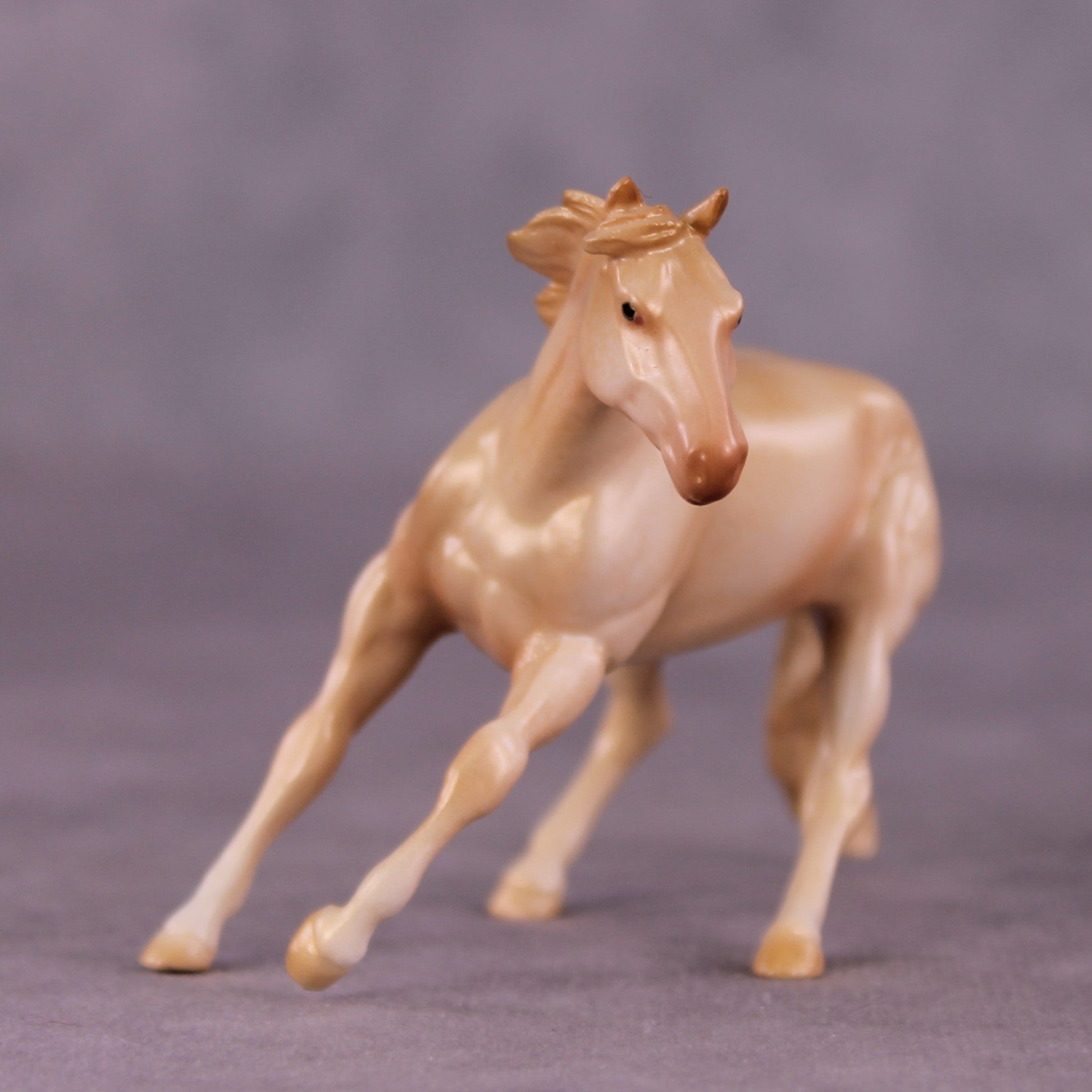 "Coolamon" OOAK Cutter Chip by Jess Hamill MS25