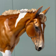 Hot to Go OOAK Chestnut Pinto Custom Mule By Julie Keim Best Offers 6/25/24