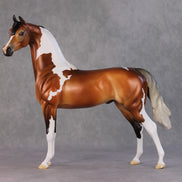 Ulaanbaatar OOAK Bay Tobiano With Gulastra Plume Arabian By Jess Hamill HS24