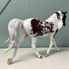 Themeda OOAK Bay Tobiano With Cat Tracks Palouse By Jess Hamill Best Offers 6/25/24