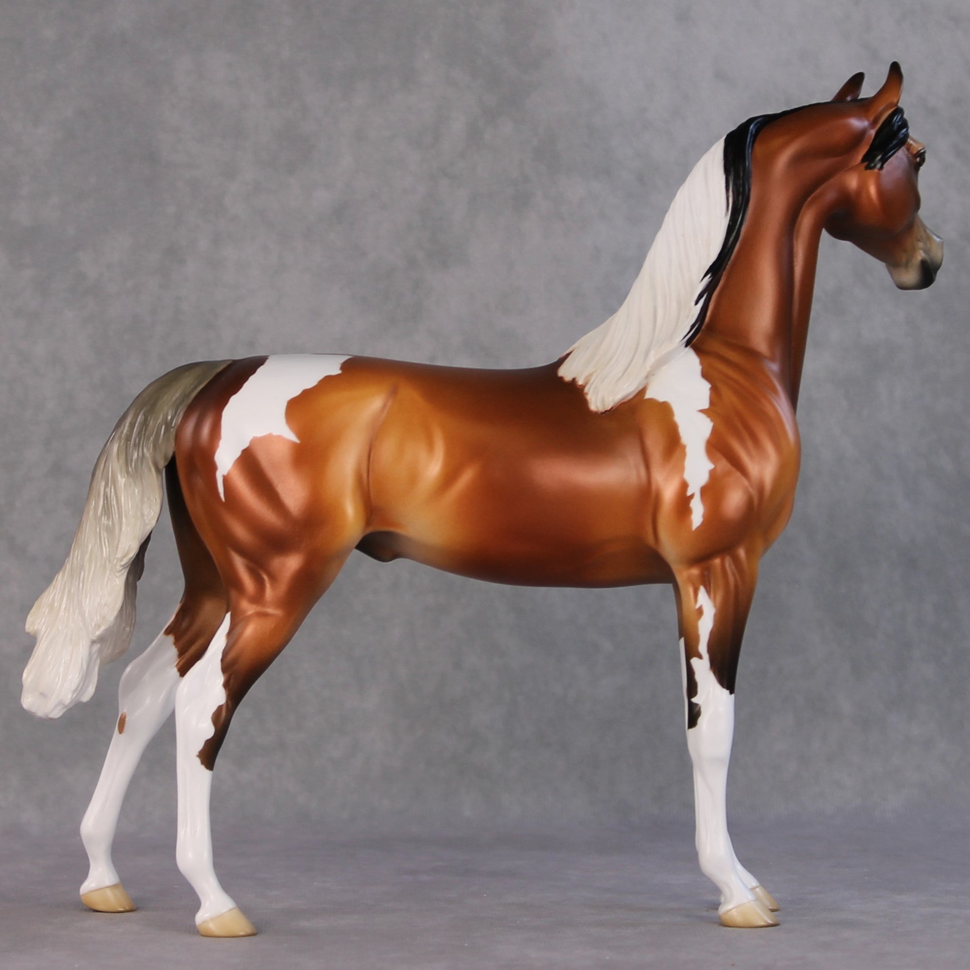 Ulaanbaatar OOAK Bay Tobiano With Gulastra Plume Arabian By Jess Hamill HS24