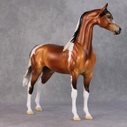 Ulaanbaatar OOAK Bay Tobiano With Gulastra Plume Arabian By Jess Hamill HS24