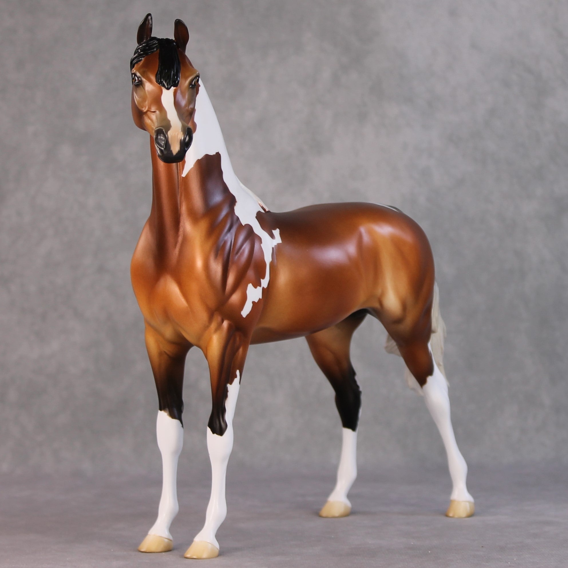 Ulaanbaatar OOAK Bay Tobiano With Gulastra Plume Arabian By Jess Hamill HS24