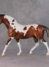 Fairbanks OOAK Bay Pinto Pony with Gulastra Plume By Jess Hamill HS24