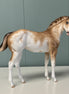 Cream & Sugar OOAK Buckskin Tobiano Custom Weanling By Sheryl Leisure Best Offers 6/25/24