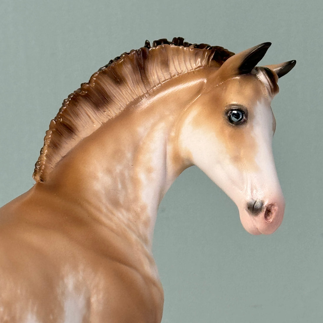 Cream & Sugar OOAK Buckskin Tobiano Custom Weanling By Sheryl Leisure Best Offers 6/25/24