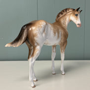Cream & Sugar OOAK Buckskin Tobiano Custom Weanling By Sheryl Leisure Best Offers 6/25/24