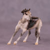 &quot;Kaleen&quot; OOAK Cutter Chip by Jess Hamill MS25