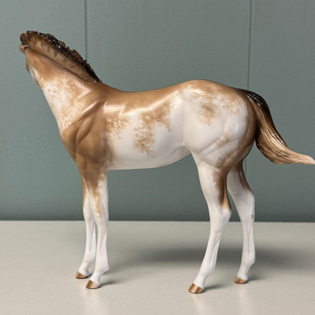 Cream & Sugar OOAK Buckskin Tobiano Custom Weanling By Sheryl Leisure Best Offers 6/25/24