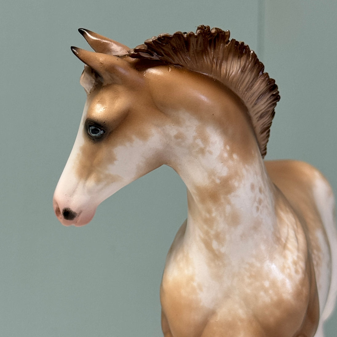 Cream & Sugar OOAK Buckskin Tobiano Custom Weanling By Sheryl Leisure Best Offers 6/25/24