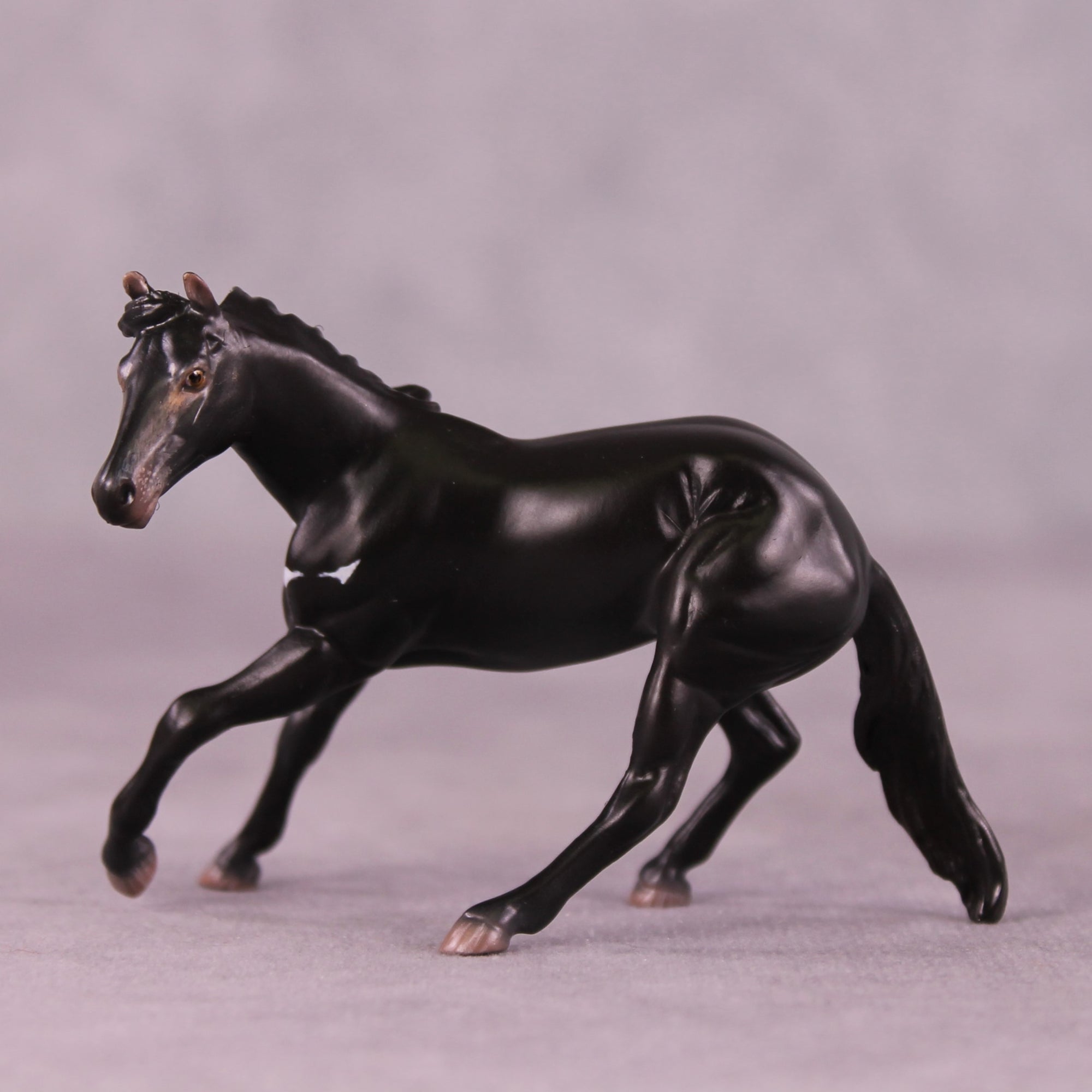 "Djanaba" OOAK Cutter Chip by Jess Hamill MS25