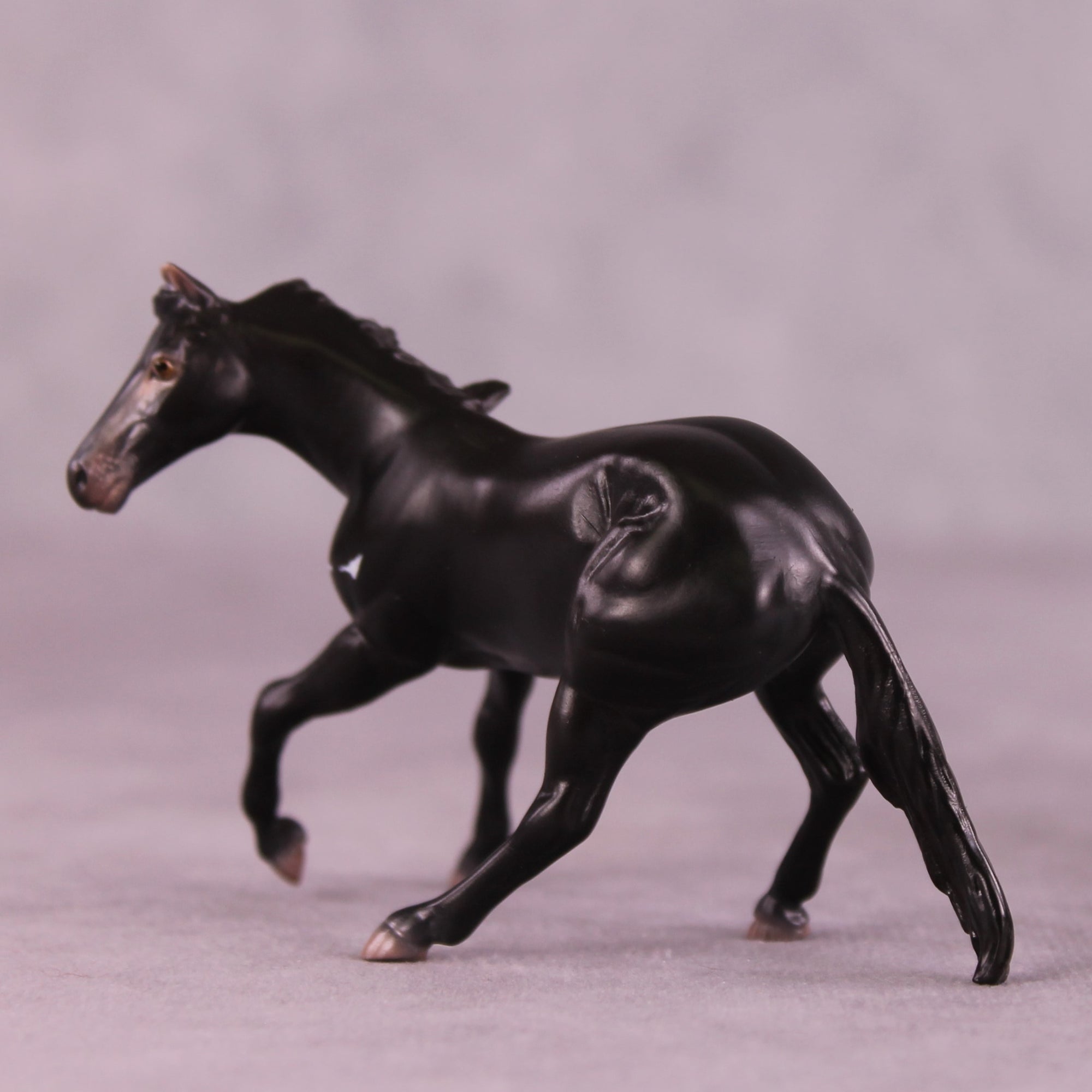 "Djanaba" OOAK Cutter Chip by Jess Hamill MS25