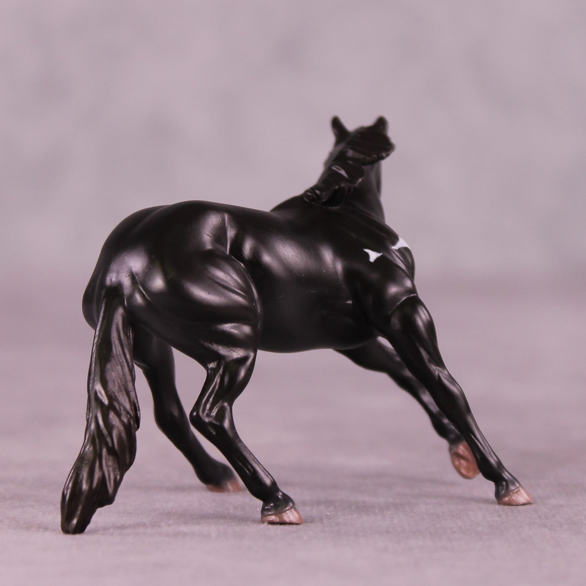 "Djanaba" OOAK Cutter Chip by Jess Hamill MS25