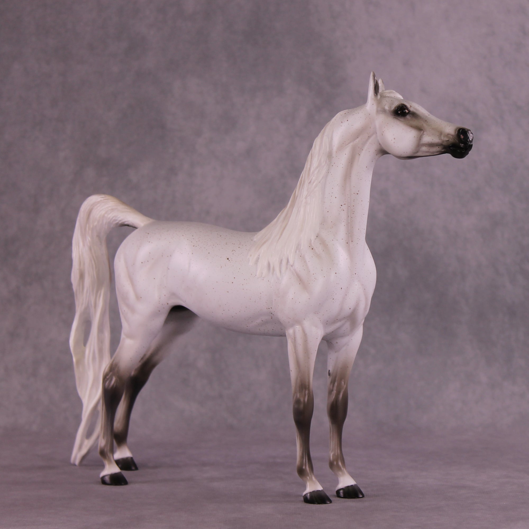 Bint Morafina OOAK EFCM Arabian by Tiffany Purdy GS925