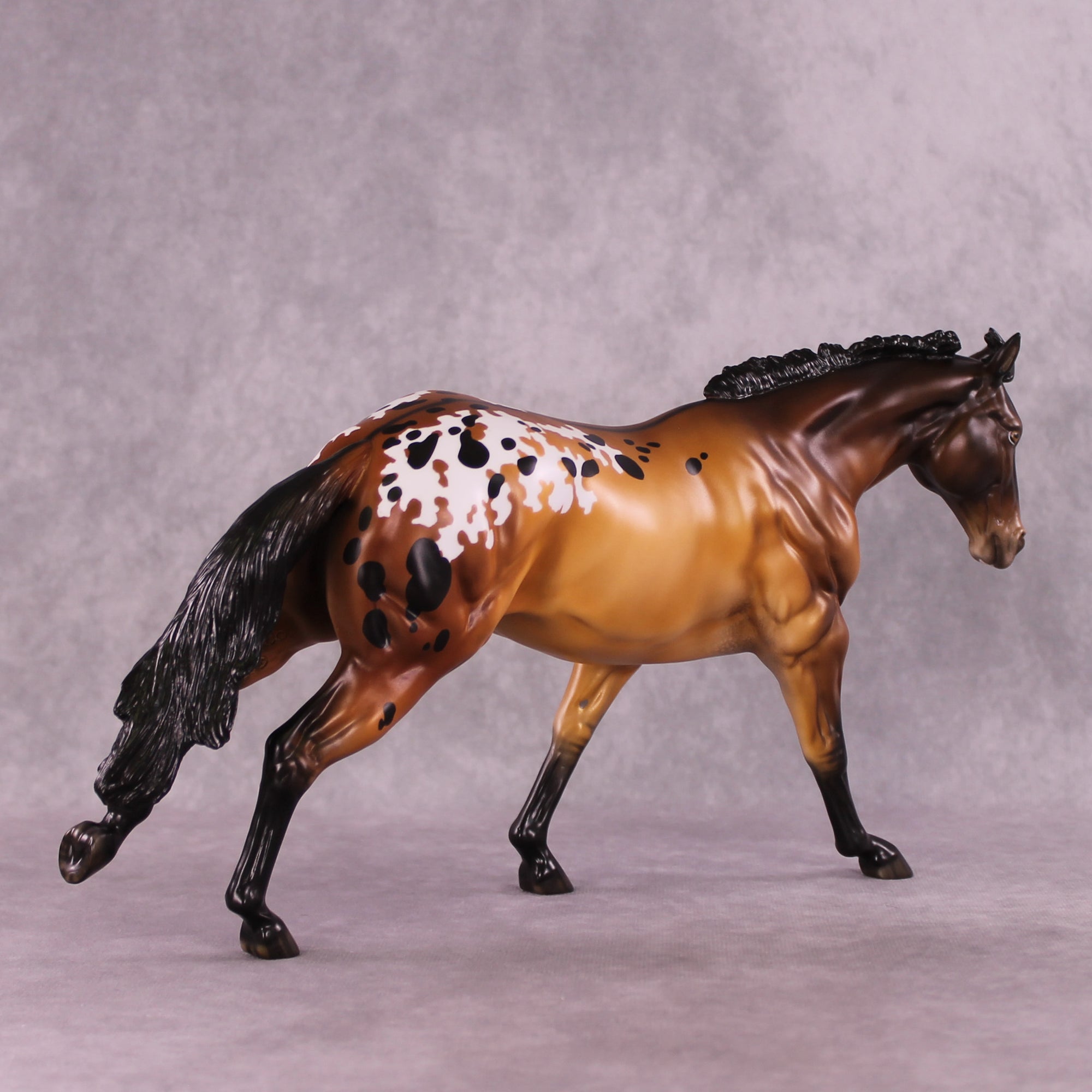 Romeo LE-15  FCM Remington By Ellen Robbins CL25