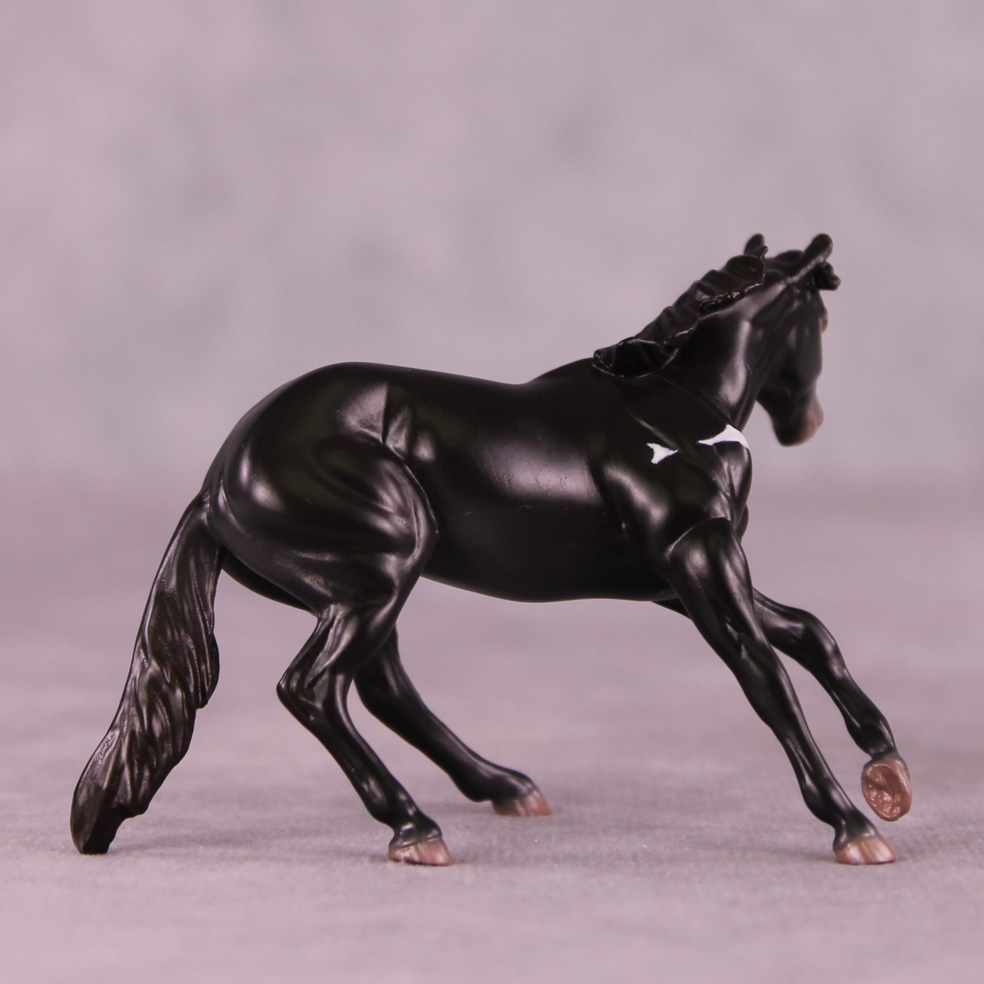 "Djanaba" OOAK Cutter Chip by Jess Hamill MS25