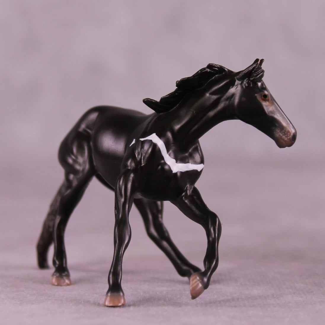 "Djanaba" OOAK Cutter Chip by Jess Hamill MS25