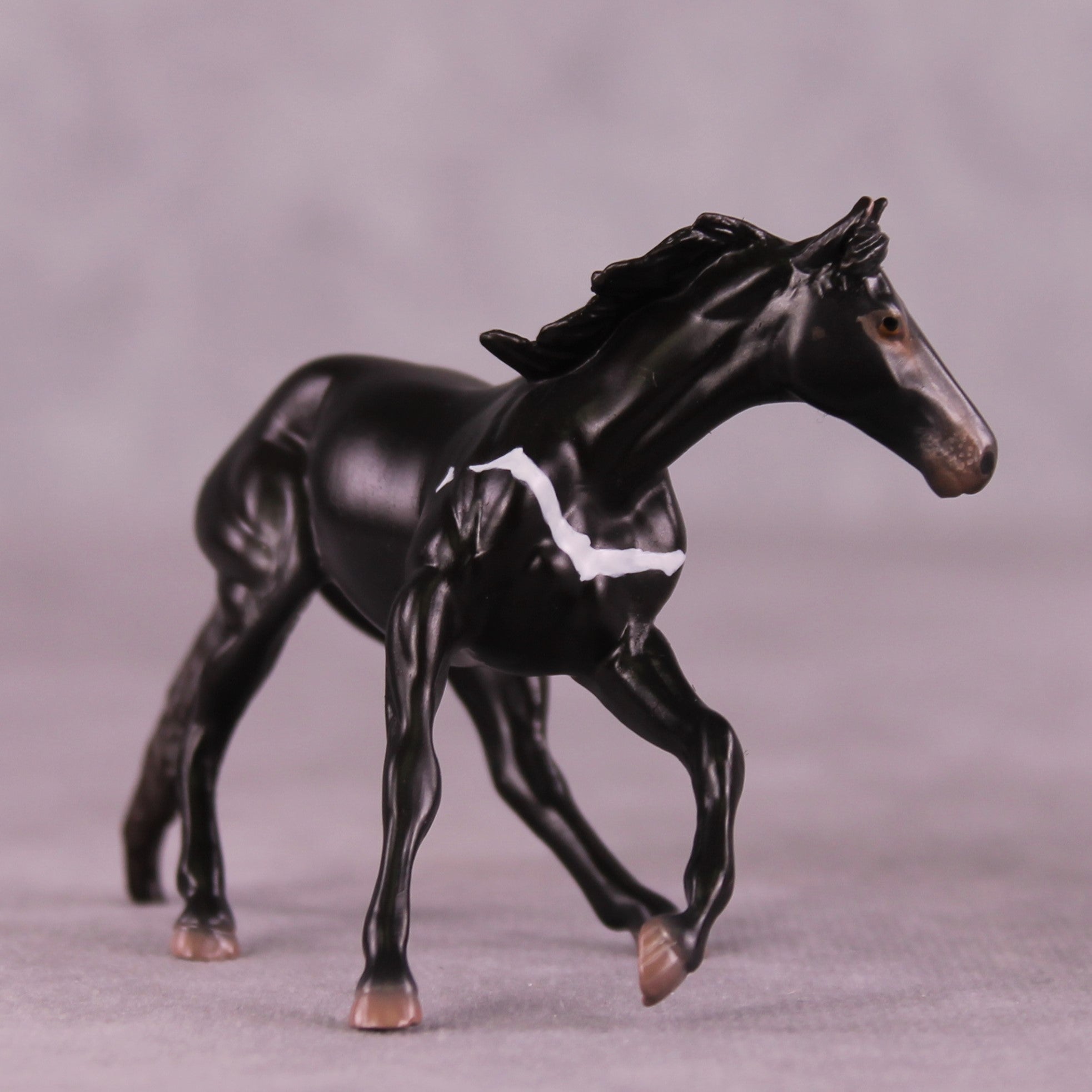 "Djanaba" OOAK Cutter Chip by Jess Hamill MS25