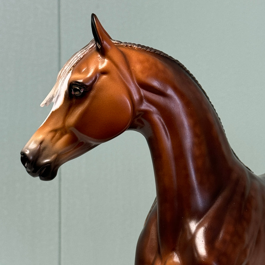 Body & Soul OOAK Dappled Silver Bay Arab Mare By Sheryl Leisure Best Offers 6/25/24