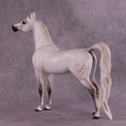 Bint Morafina OOAK EFCM Arabian by Tiffany Purdy GS925