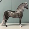 Forgive &amp; Forget OOAK Dappled Grey Custom Morgan By Sheryl Leisure Best Offers 6/25/24