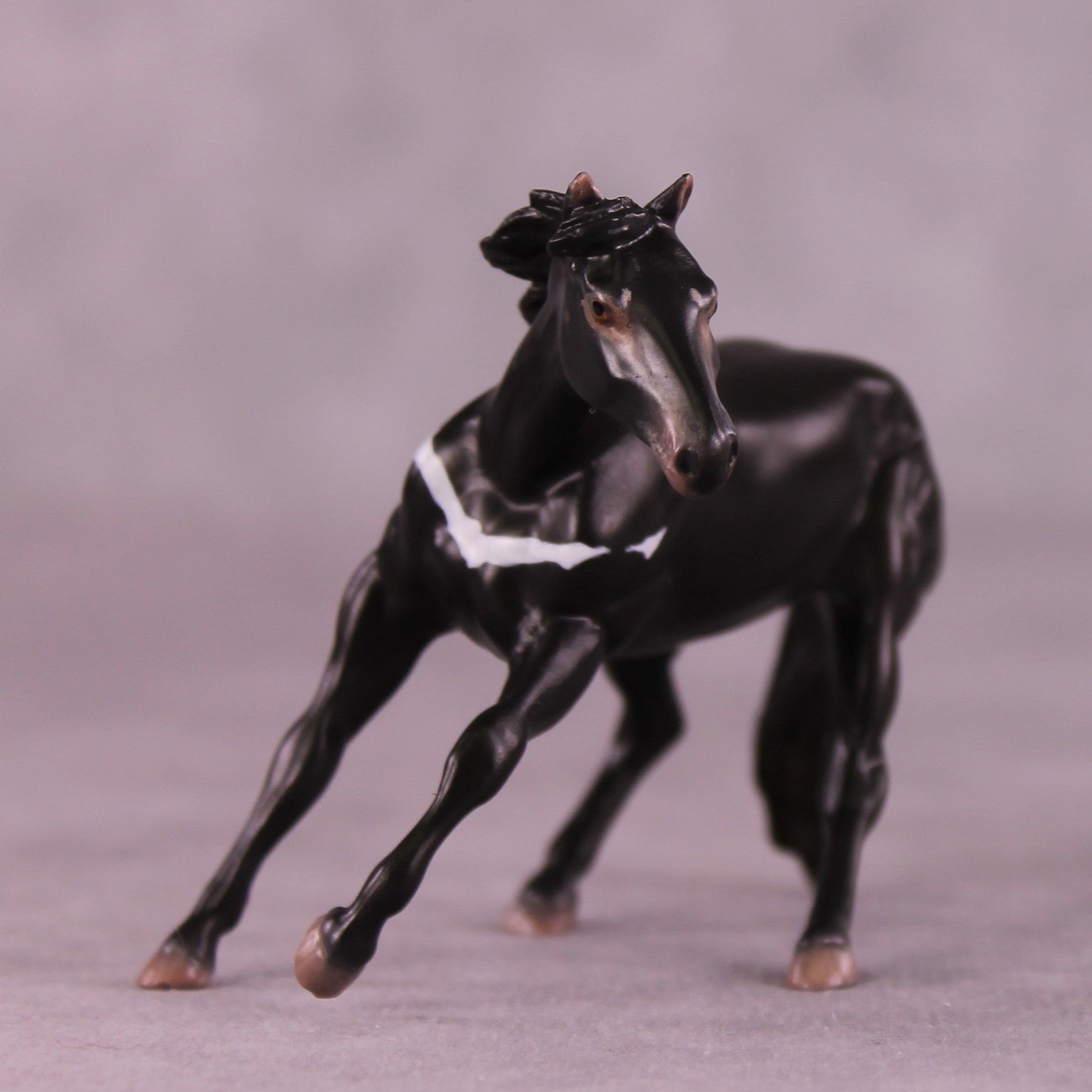 "Djanaba" OOAK Cutter Chip by Jess Hamill MS25