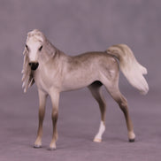 Bin Al Purdy OOAK EFCM Chip Arabian by Tiffany Purdy GS925