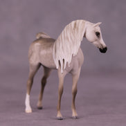 Bin Al Purdy OOAK EFCM Chip Arabian by Tiffany Purdy GS925