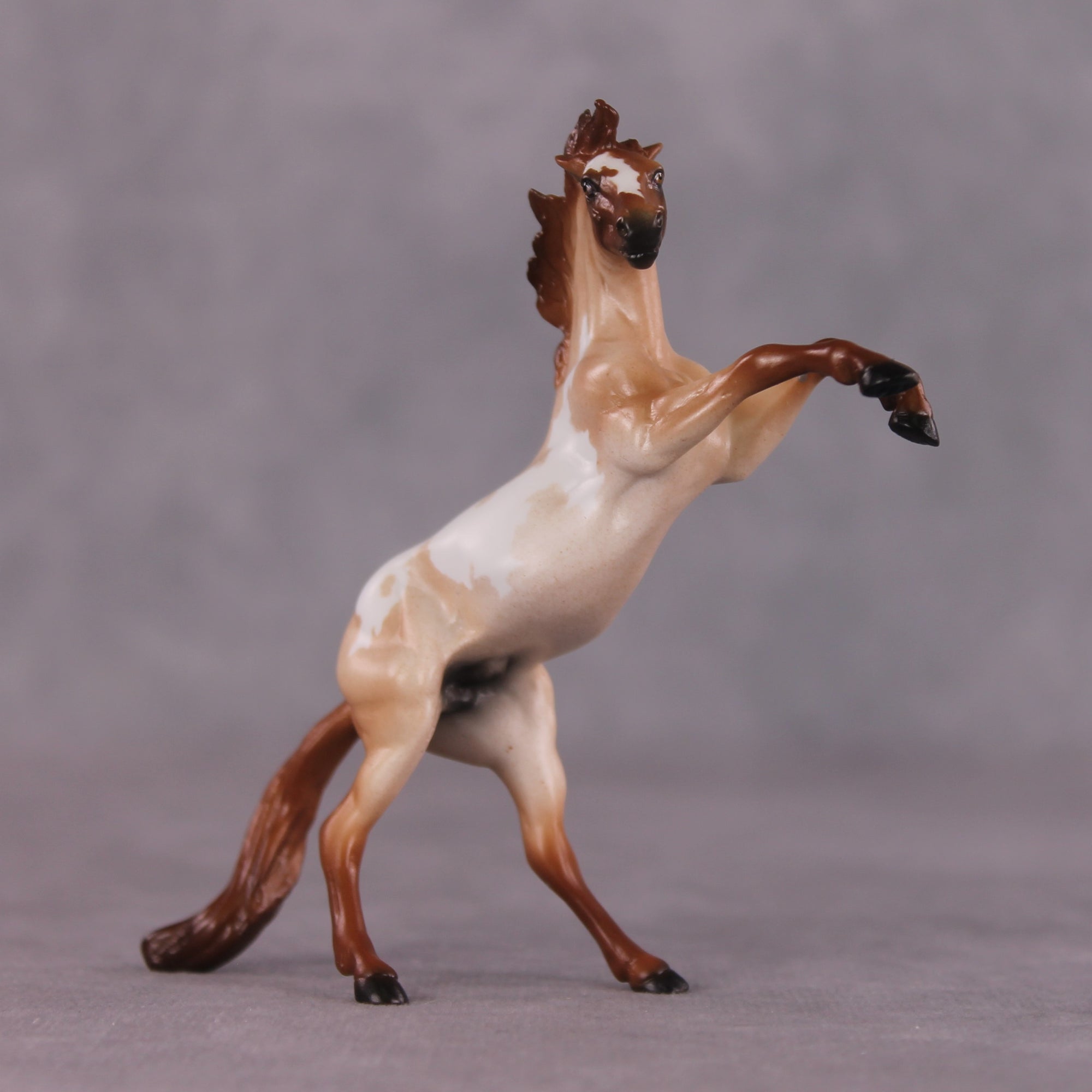 "Ocean of Fire" OOAK Rearing Chip by Ellen Robbins SHCF25