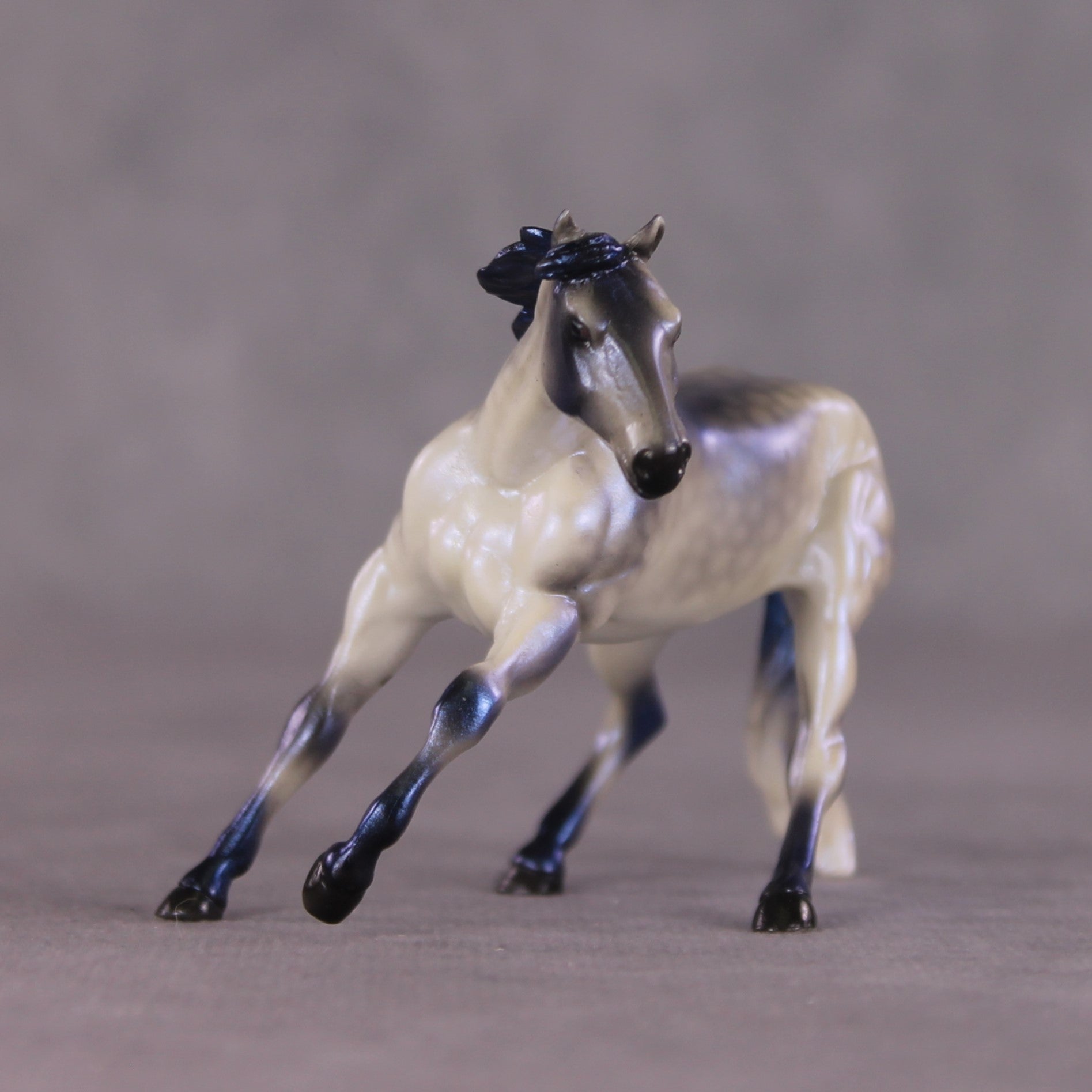 "I am the Storm"  OOAK Cutter Chip by Ellen Robbins SHCF25OS