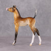 Kalina OOAK Extreme Factory Custom Bay Arab Foal Painted and Customized By Tiffany Purdy HS24 Best Offer