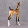 Kalina OOAK Extreme Factory Custom Bay Arab Foal Painted and Customized By Tiffany Purdy HS24 Best Offer