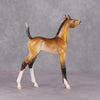 Kalina OOAK Extreme Factory Custom Bay Arab Foal Painted and Customized By Tiffany Purdy HS24 Best Offer