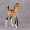 Kalina OOAK Extreme Factory Custom Bay Arab Foal Painted and Customized By Tiffany Purdy HS24 Best Offer