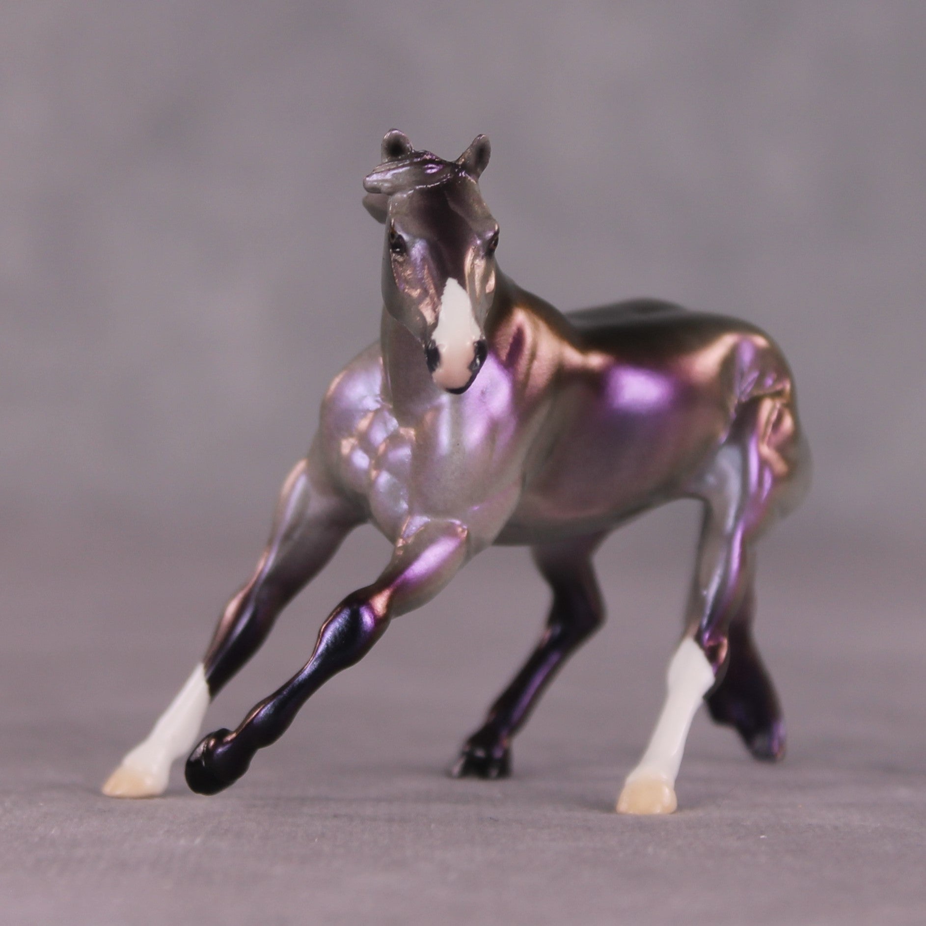 "Mischief" OOAK Cutter Chip by Ellen Robbins SHCF25