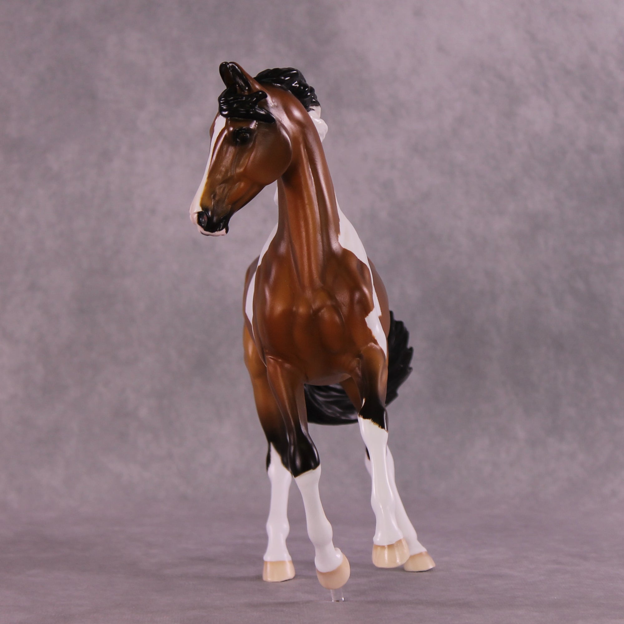 Jafar OOAK EFCM Arabian to Marwari by Tiffany Purdy GS925