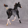 Lady Grey OOAK Black Rabicano Yearling By Visiting Artist Amanda Brock HS24 Best Offer