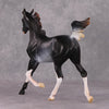 Lady Grey OOAK Black Rabicano Yearling By Visiting Artist Amanda Brock HS24 Best Offer