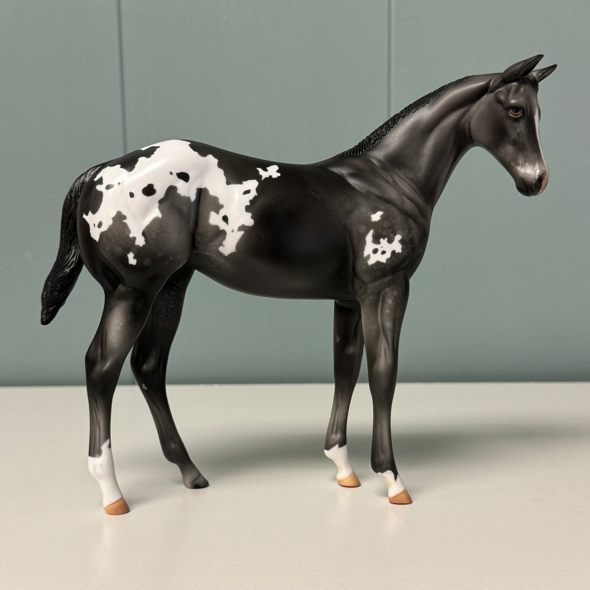 Tender Touch OOAK Black Appaloosa Weanling By Julie Kiem EQ24