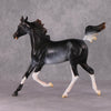 Lady Grey OOAK Black Rabicano Yearling By Visiting Artist Amanda Brock HS24 Best Offer