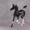 Lady Grey OOAK Black Rabicano Yearling By Visiting Artist Amanda Brock HS24 Best Offer