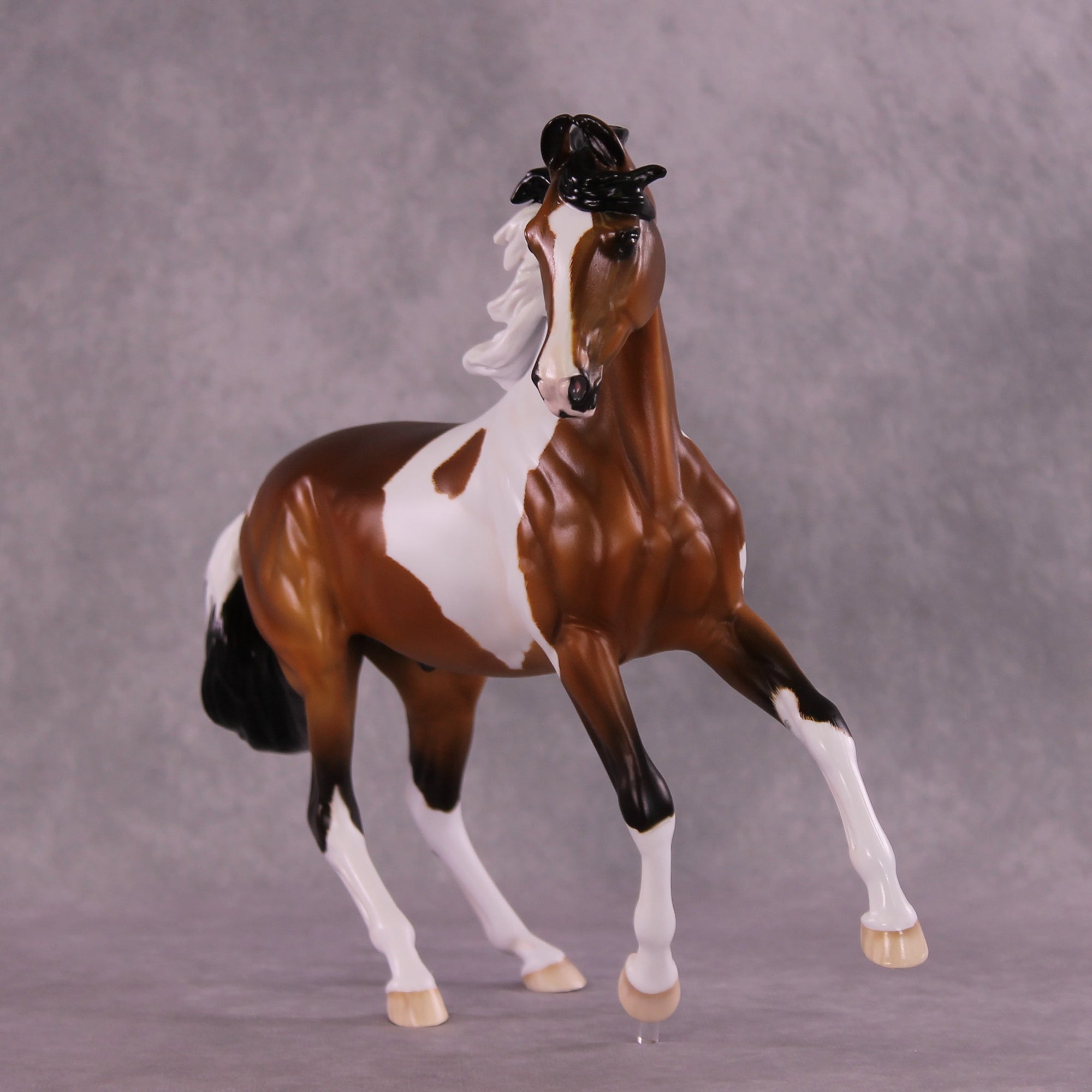 Jafar OOAK EFCM Arabian to Marwari by Tiffany Purdy GS925