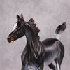 Lady Grey OOAK Black Rabicano Yearling By Visiting Artist Amanda Brock HS24 Best Offer