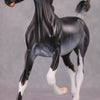 Lady Grey OOAK Black Rabicano Yearling By Visiting Artist Amanda Brock HS24 Best Offer