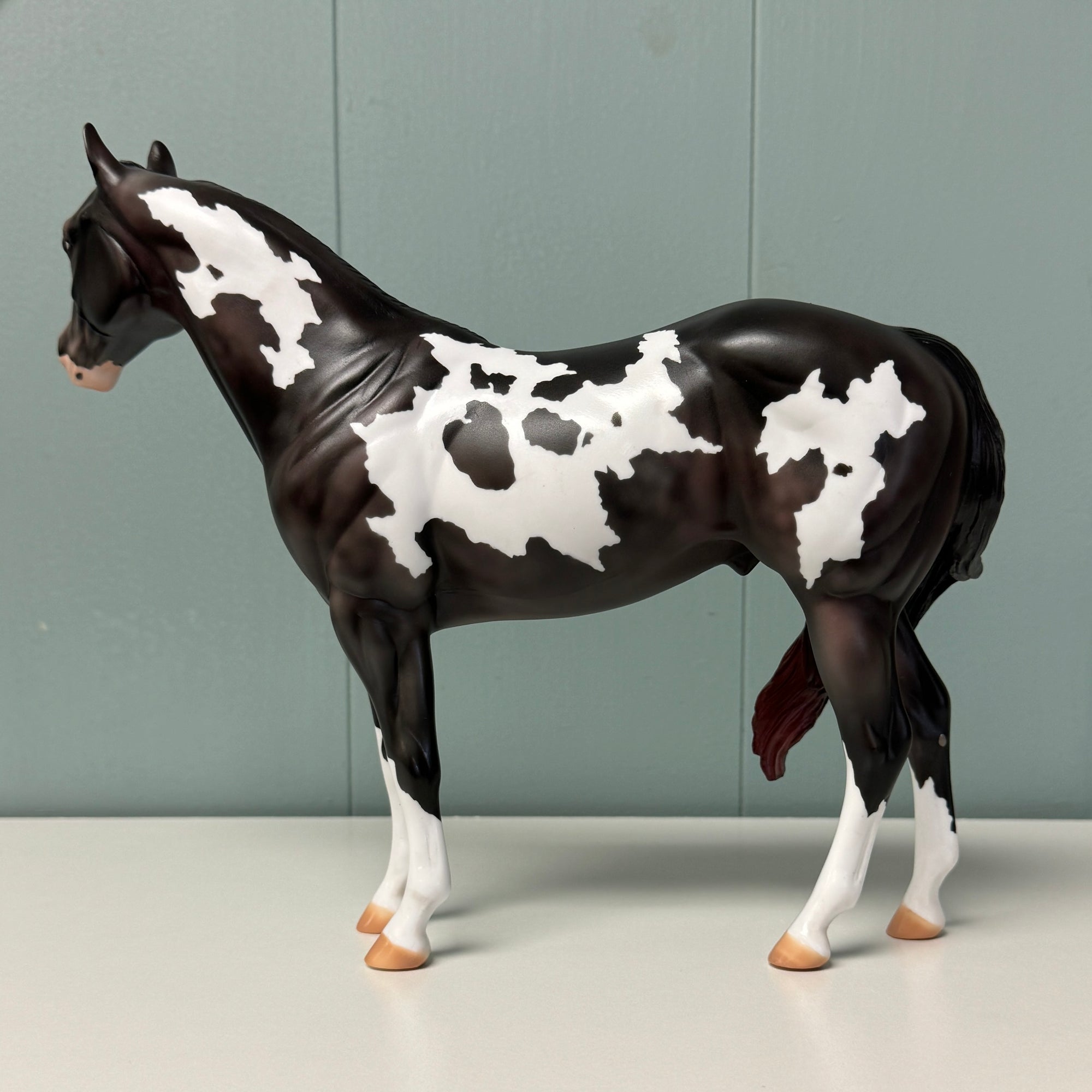 Radar OOAK Sunburnt Black Overo Custom ISH By Julie Kiem EQ24